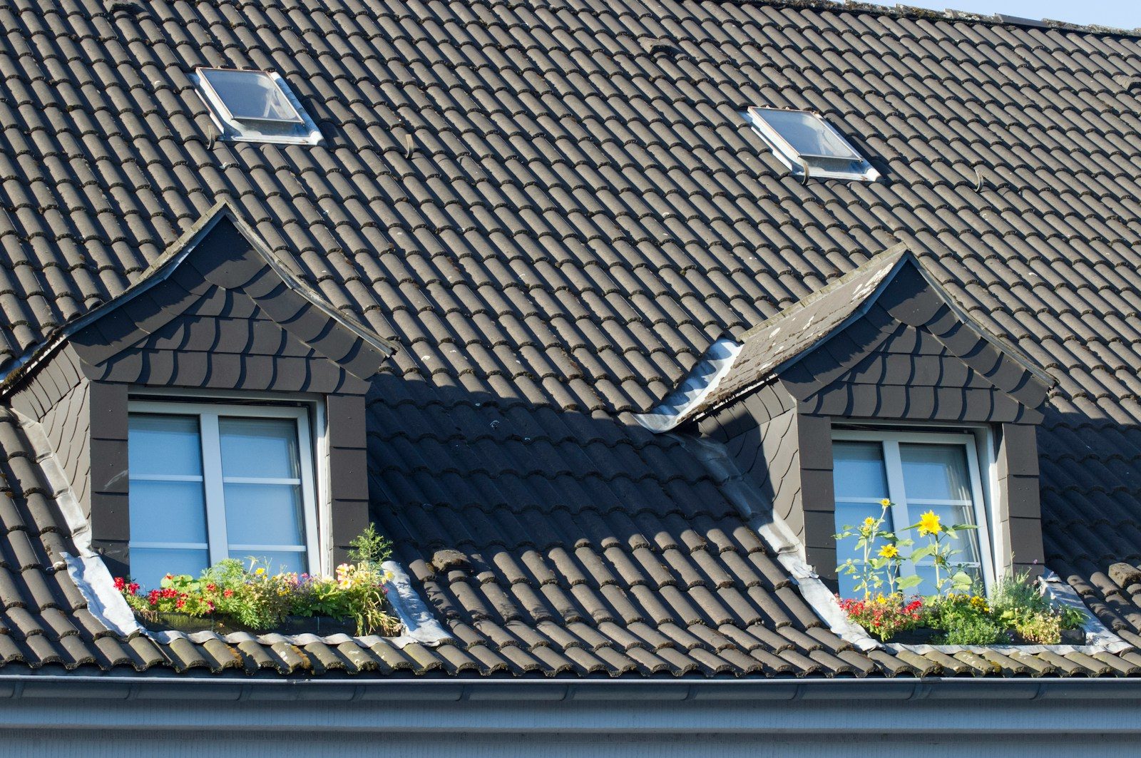 Top Rated Home Roof Restorations in Reidsville: brown roof tiles near green plant during daytime